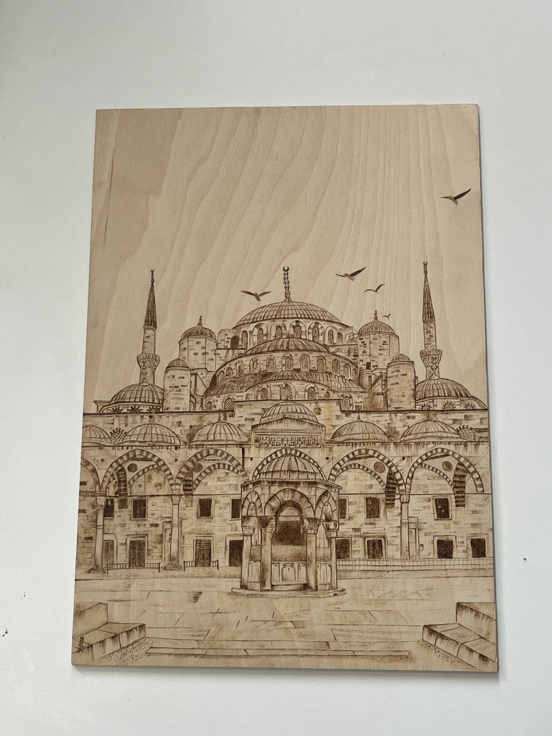 AYS-AN-0018